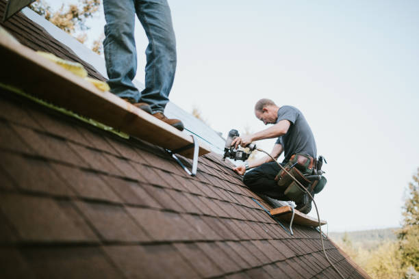 Best Metal Roofing Contractor  in East Dundee, IL