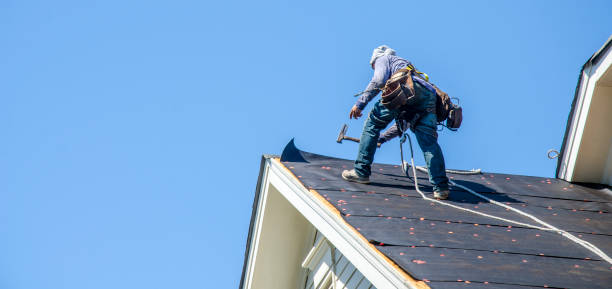 Roof Gutter Cleaning in East Dundee, IL